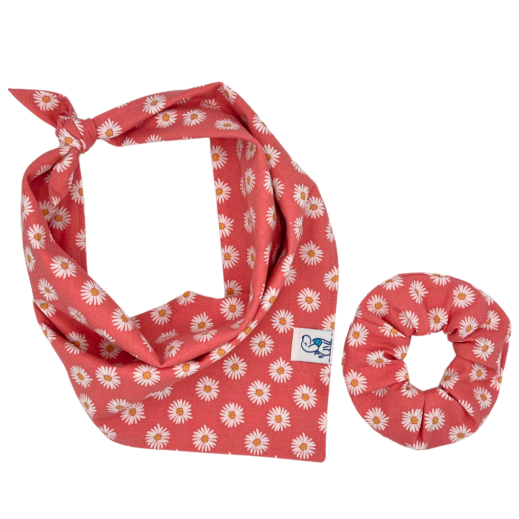 Oopsie Daisy - Bandana