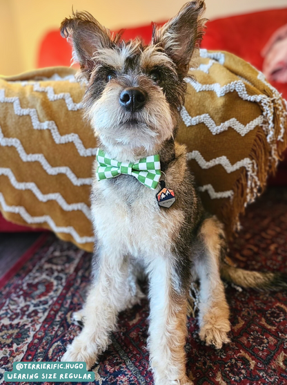 Check Yourself - Bow Tie