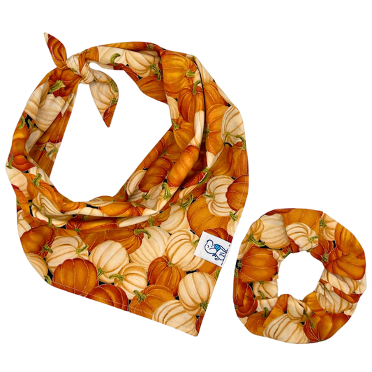 Pumpkin Patch - Bandana