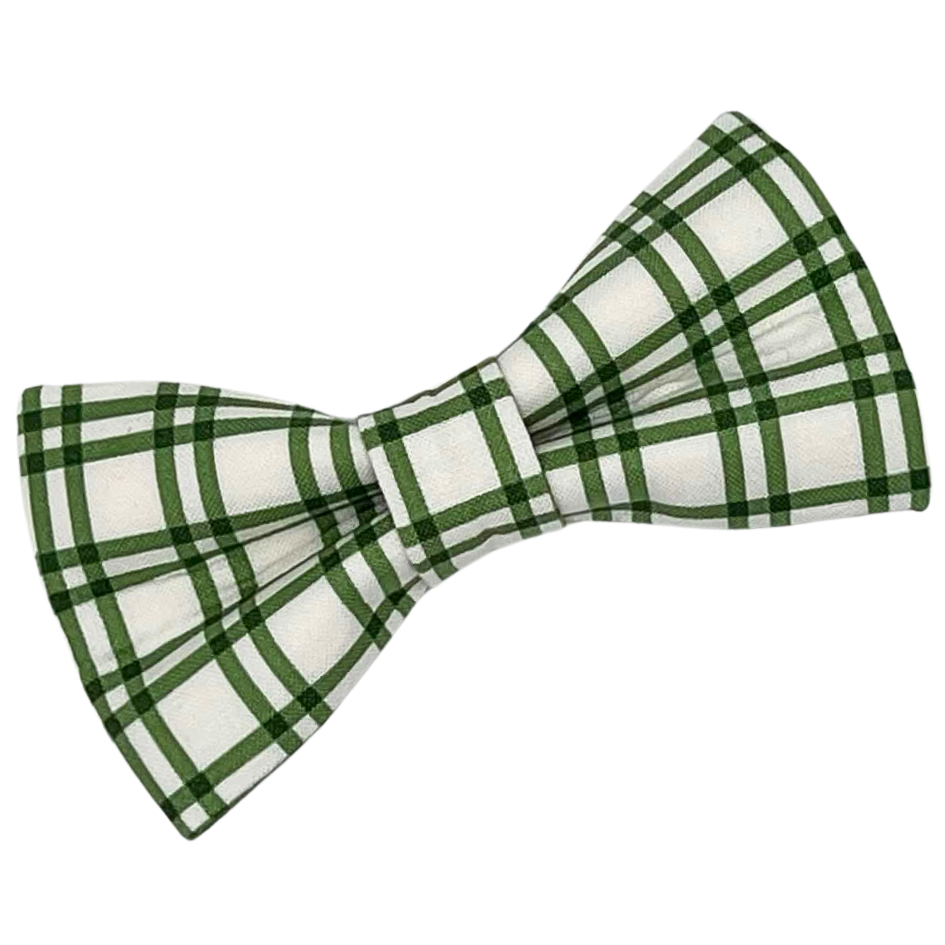 Feeling Lucky - Bow Tie