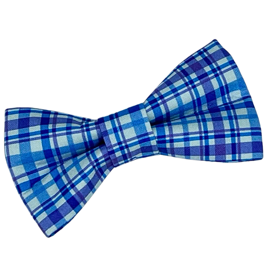 Gentleman - Bow Tie