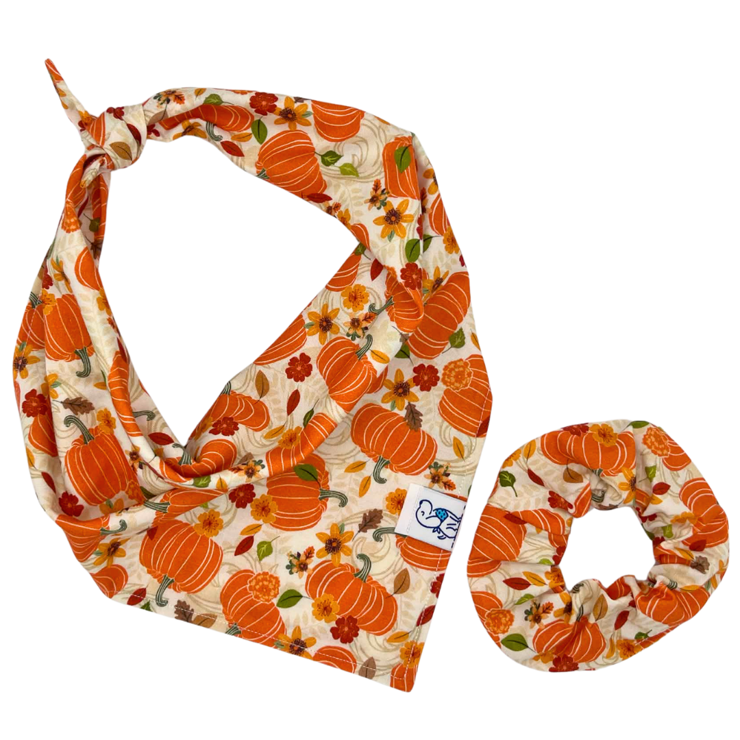 Autumn Harvest - Bandana