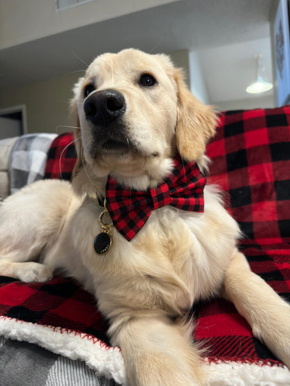 Lumberjack - Bow Tie🎄