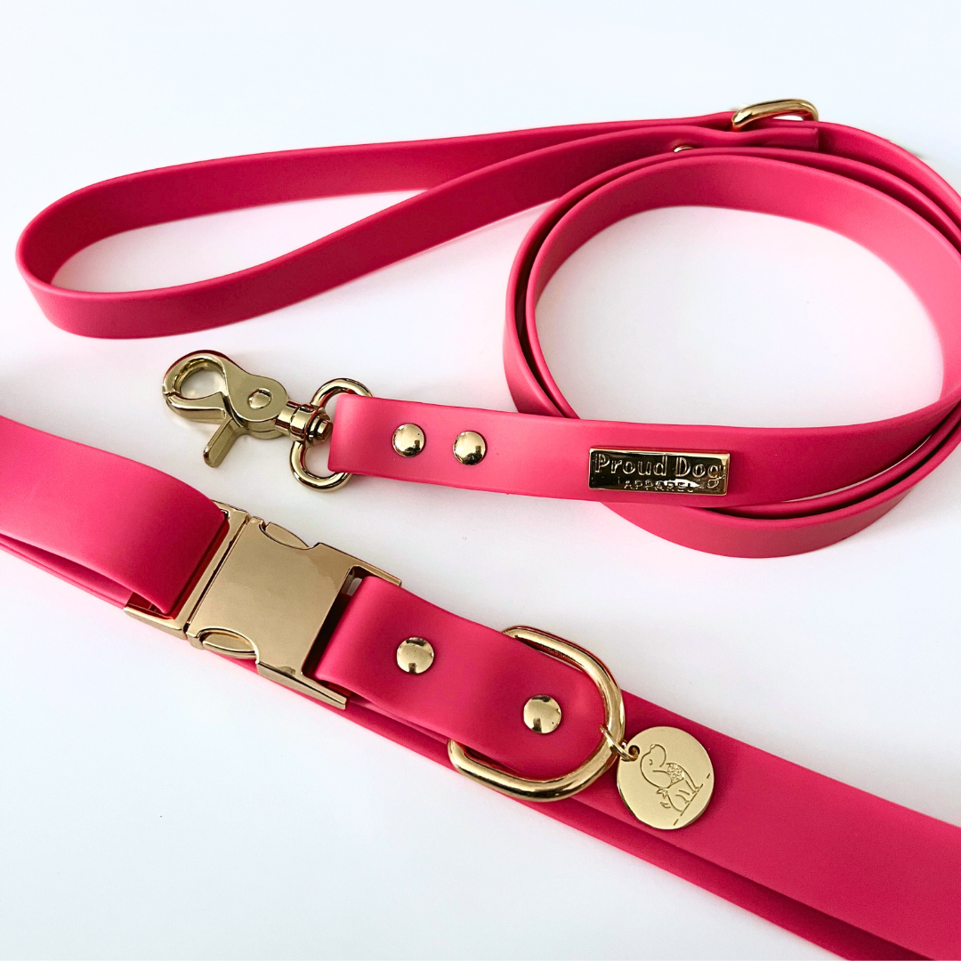 Pink Waterproof Dog Collar & Leash (Gold Hardware)