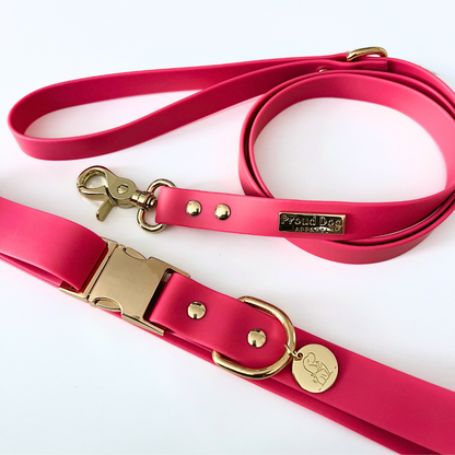 Pink Waterproof Dog Collar & Leash (Gold Hardware)