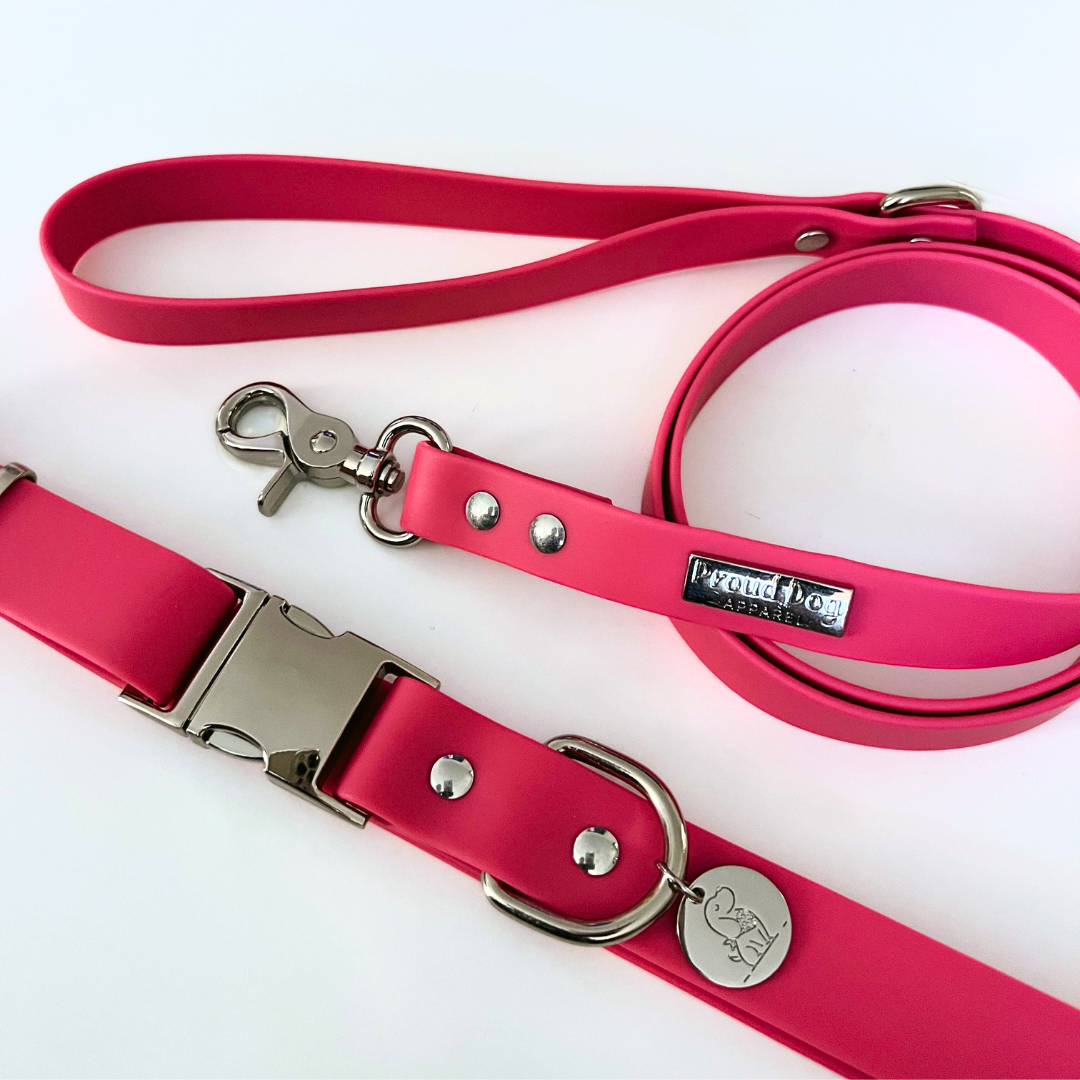Pink Waterproof Dog Collar & Leash (Silver Hardware)