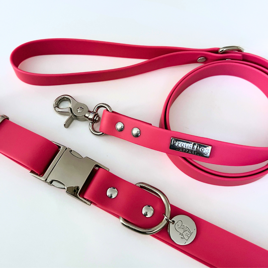 Pink Waterproof Dog Collar & Leash (Silver Hardware)