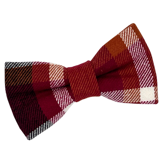 Pumpkin Cream Brew - Bow Tie