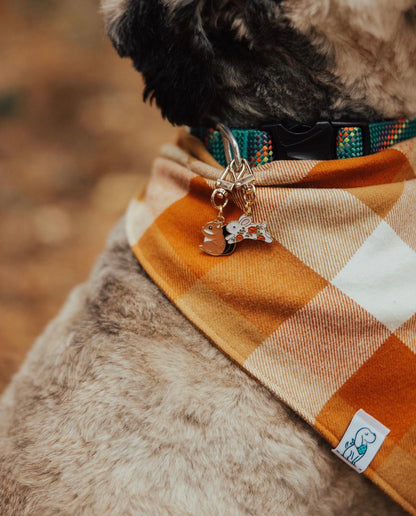 Collar Charms