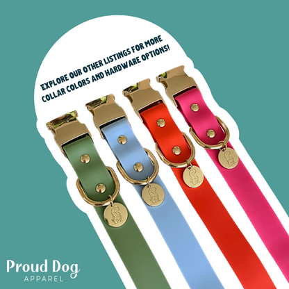 Green Waterproof Dog Collar & Leash (Silver Hardware)