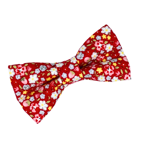 Sun Kissed - Bow Tie