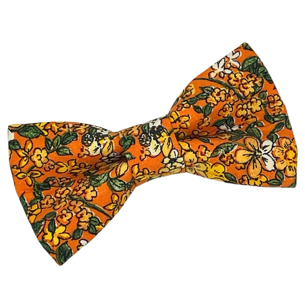 Golden Hour - Bow Tie